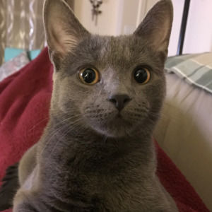 Meet your Posher, Olivia